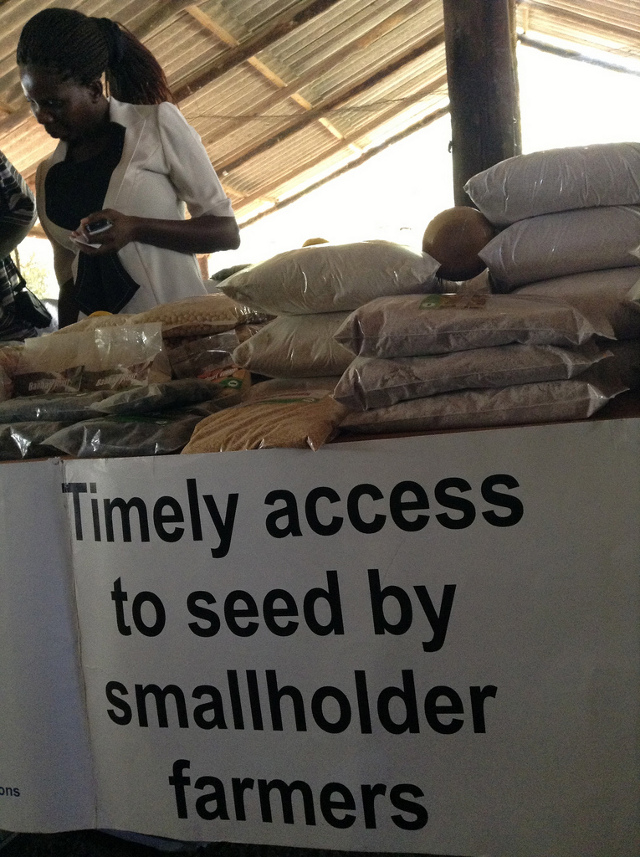 Les paysans africains rejettent les lois sur les semences de l’industrie et l’offensive menée sur les semences paysannes et la souveraineté alimentaire